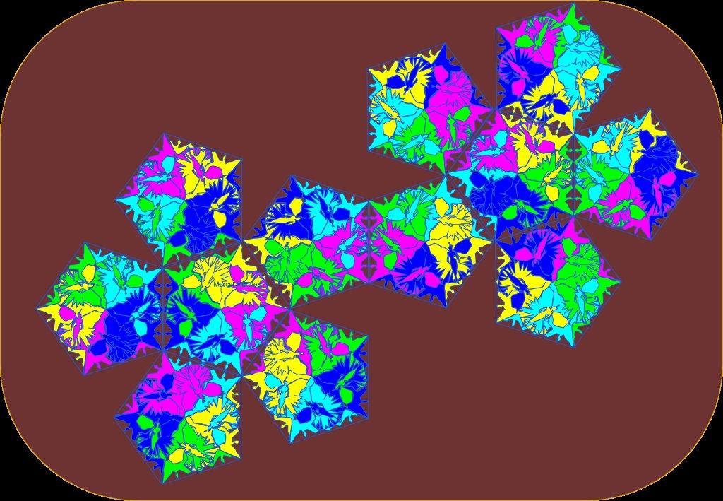 /dodecaedres-web/polyedre-papillon1.jpg